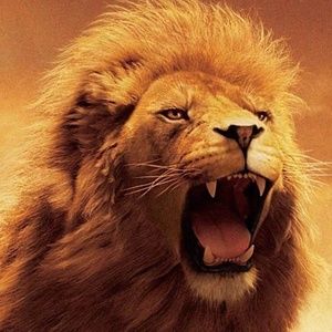 Meet your Posher, Mia